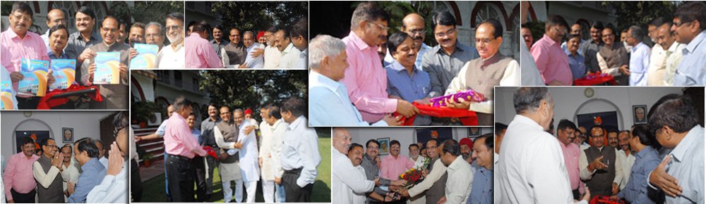 Motilal Vigyan Mahavidyalaya Alumni Association, Bhopal